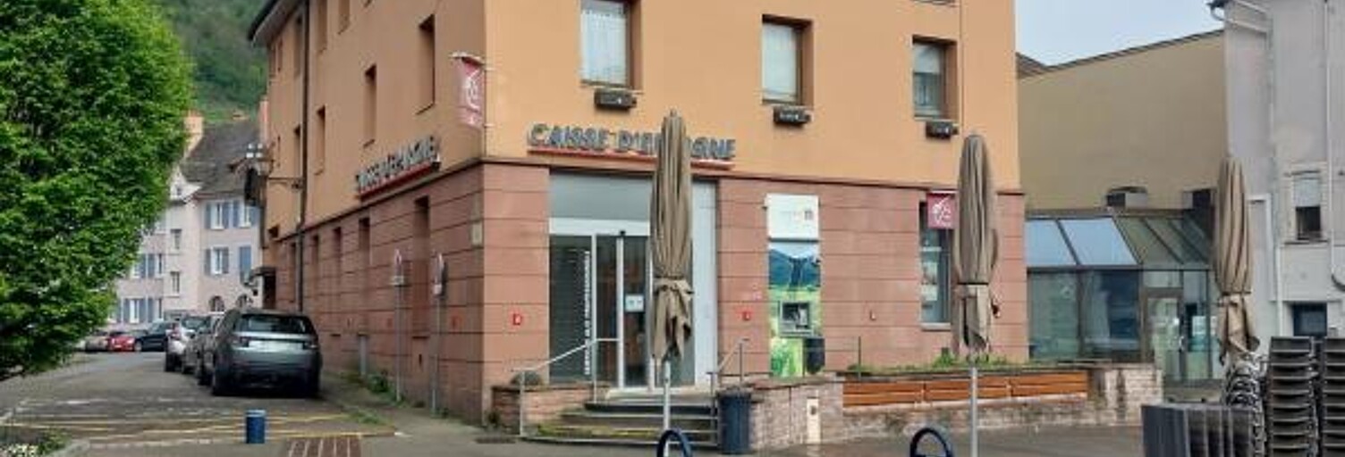 Immeuble  1743 m² à vendre à Guebwiller (68500)