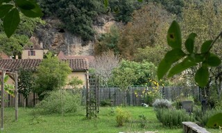 Photo N° 3