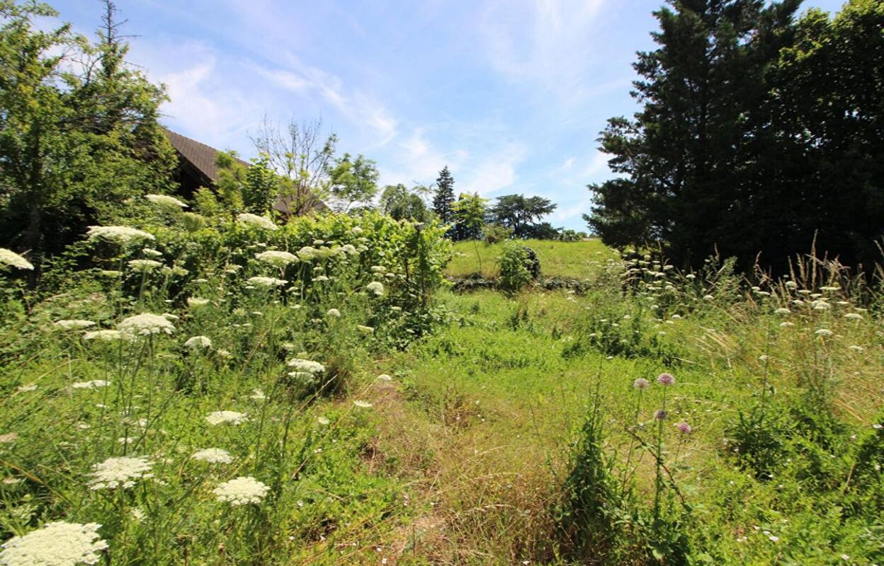 terrain  pièces 2000 m2 à vendre à Beaune (21200)