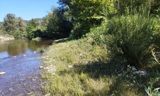 Photo N° 6