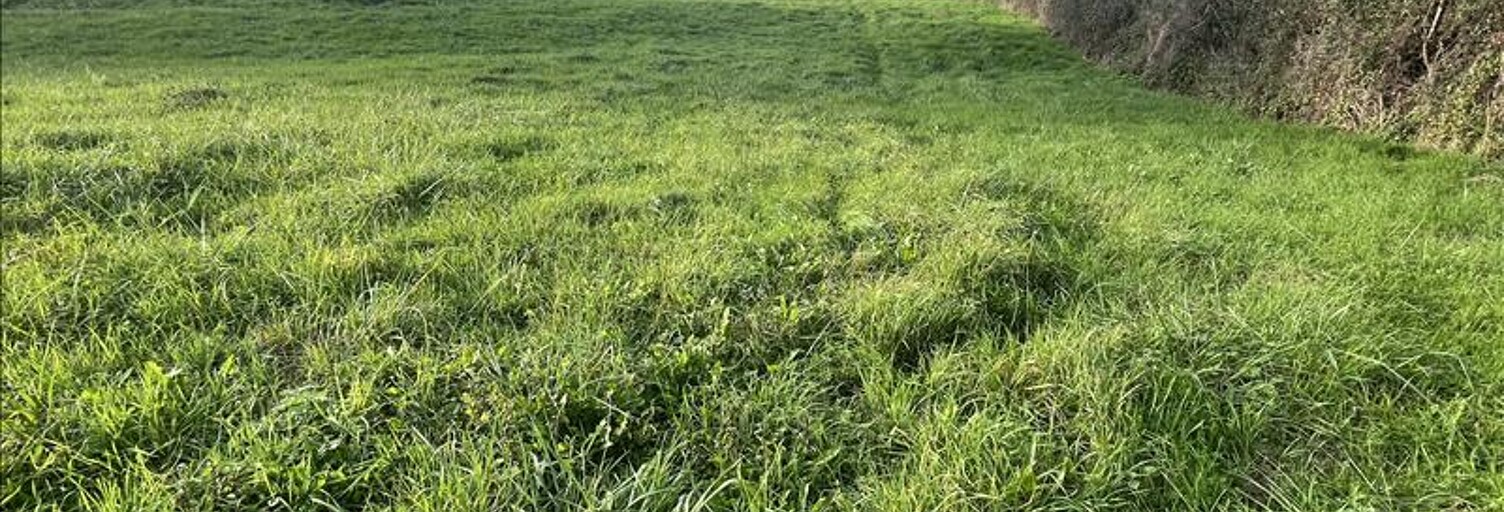 Terrain  1774 m² à vendre à Vaux (03190)