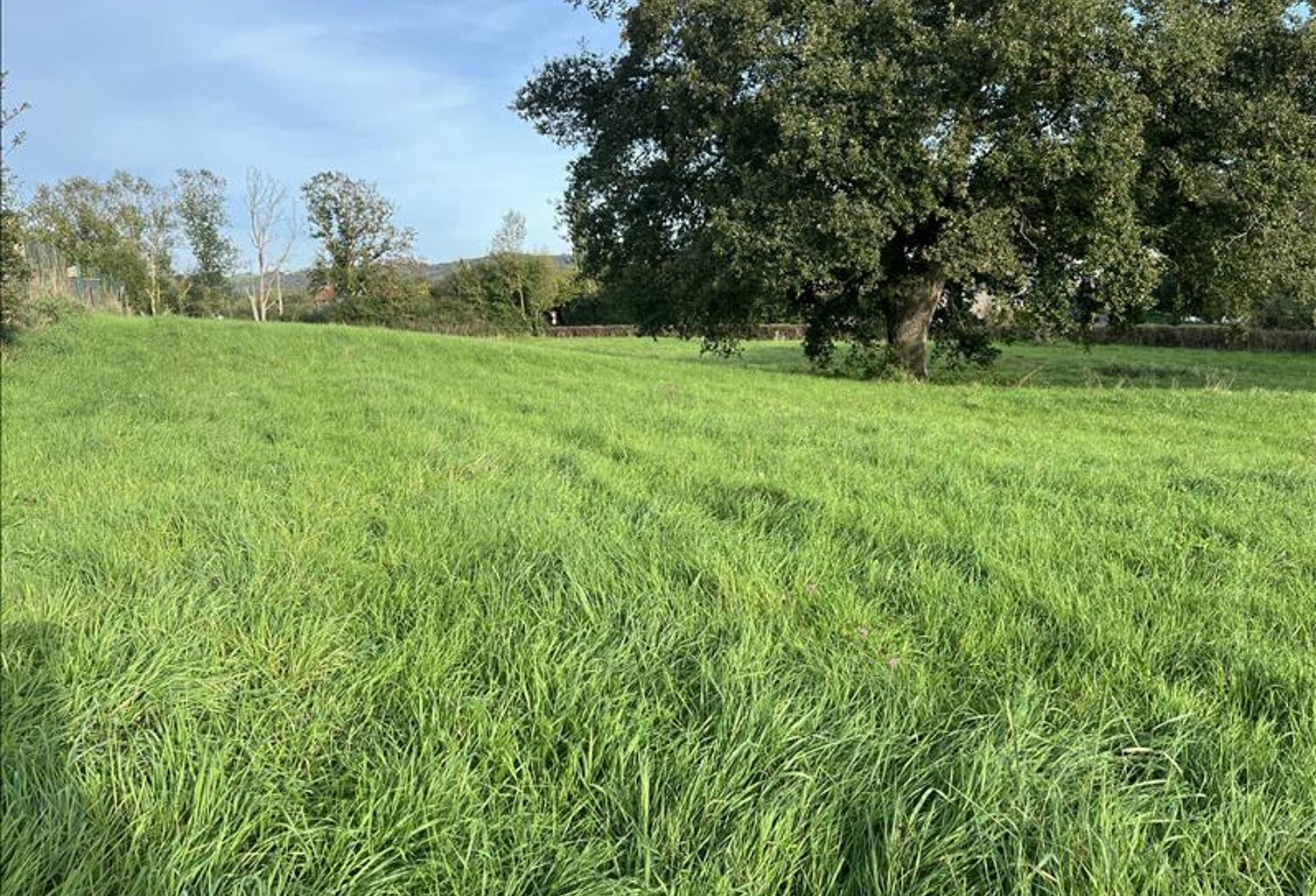Terrain à bâtir de 0 pièces principales — photo 1
