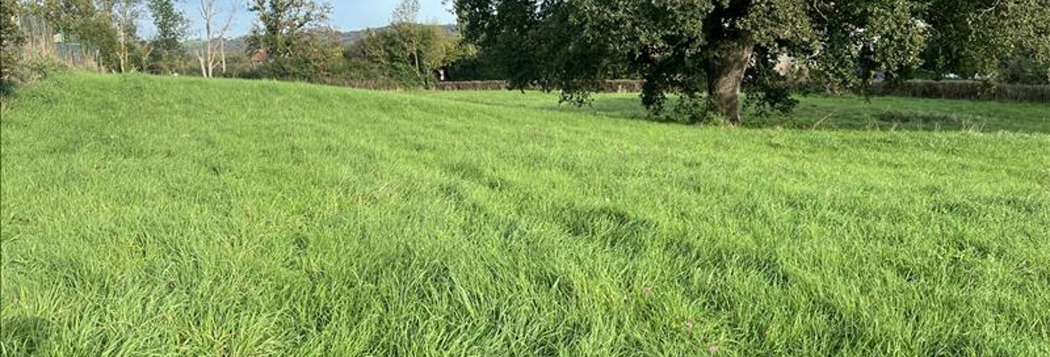 Terrain  1785 m² à vendre à Vaux (03190)