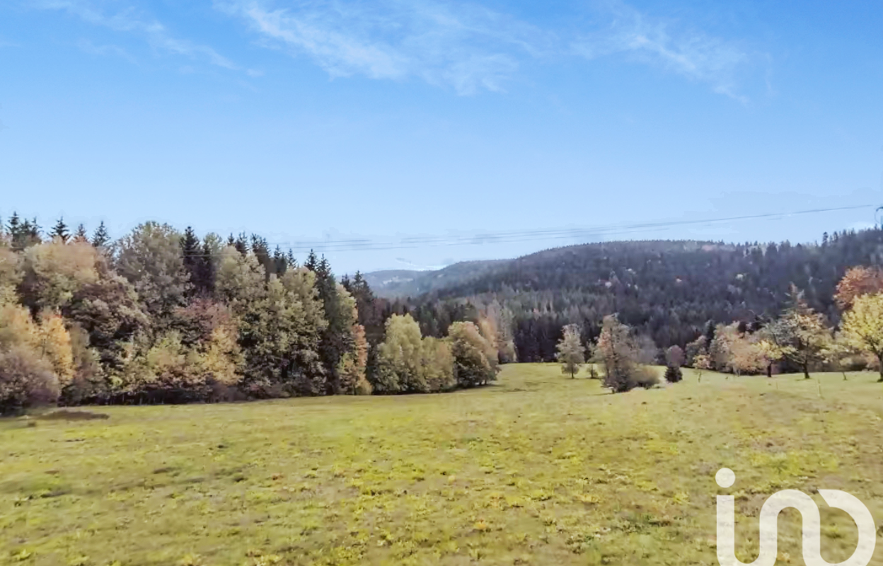 terrain  pièces 19171 m2 à vendre à Liézey (88400)