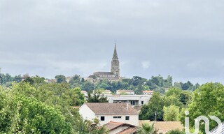 Photo N° 6