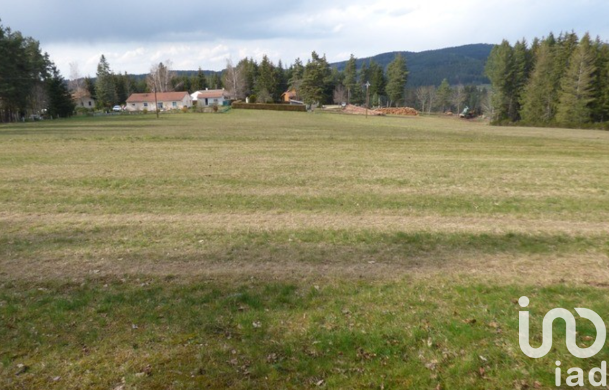 terrain  pièces 12256 m2 à vendre à Dunières (43220)