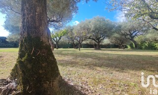 Photo N° 6