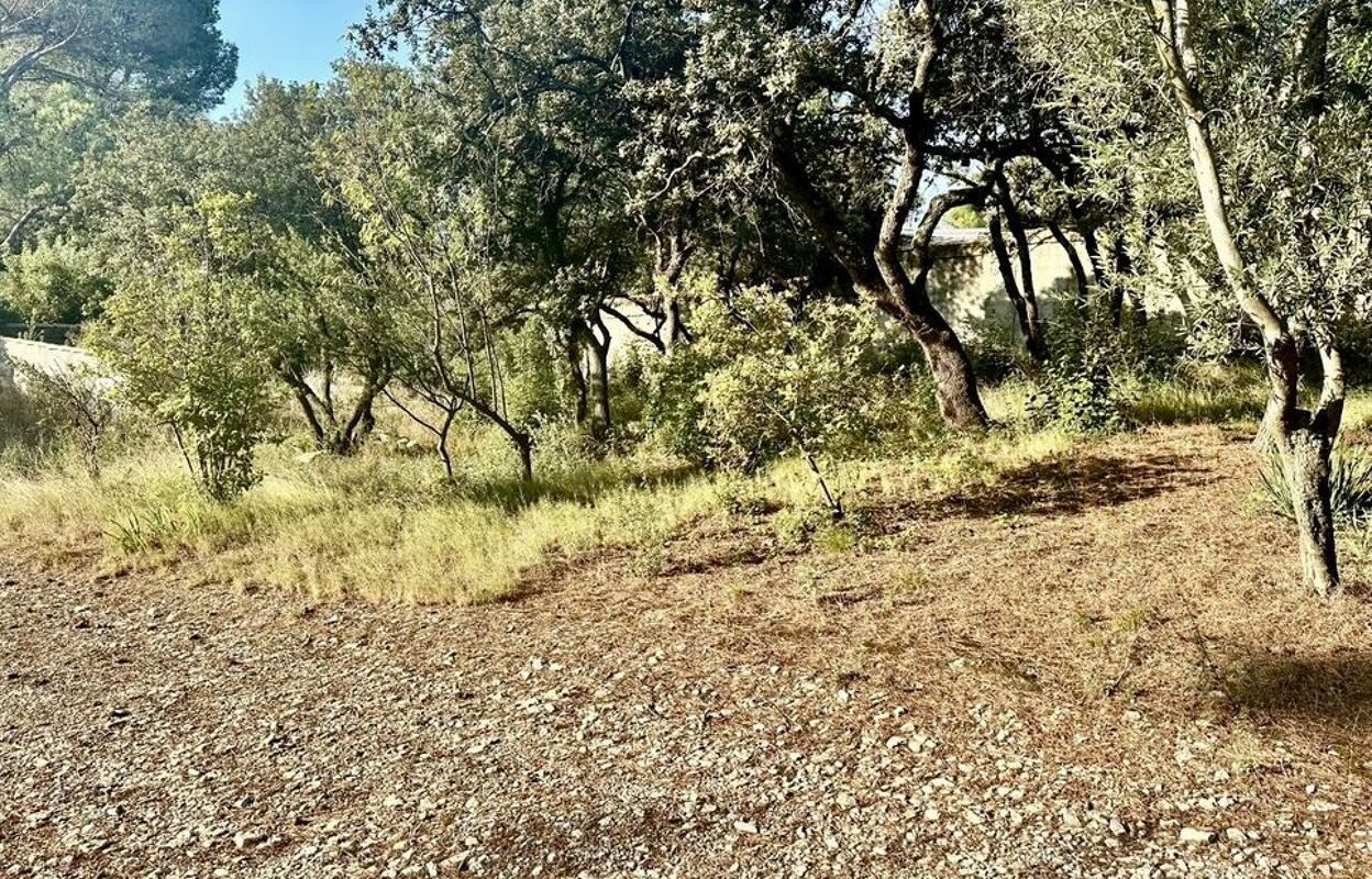 terrain  pièces 1140 m2 à vendre à Villeneuve-Lès-Avignon (30400)