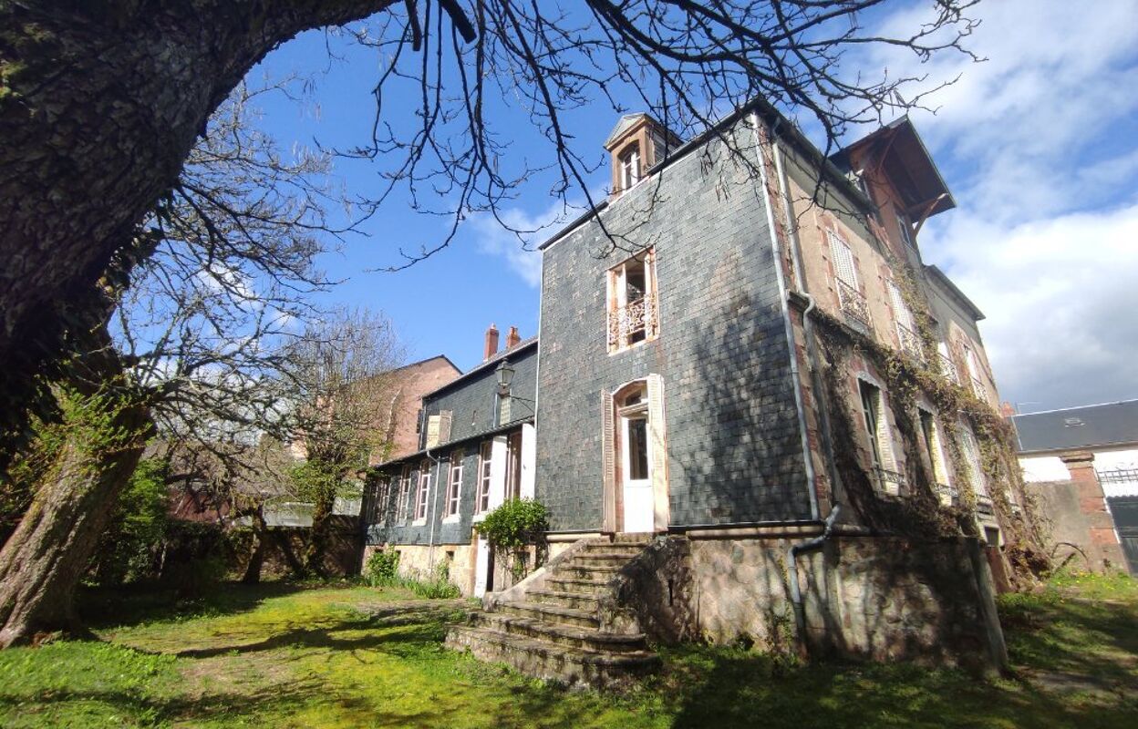 maison 9 pièces 349 m2 à vendre à Château-Chinon (Ville) (58120)