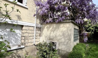 Photo N° 8