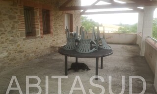Appartement 4 Pièces 98 m² à louer à Saint-Julien-du-Puy (81440)
