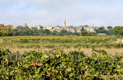 3753m2 de vigne... — photo du bien