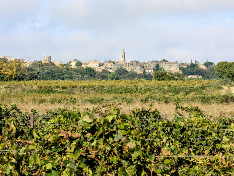 3753m2 de vigne... — photo 1