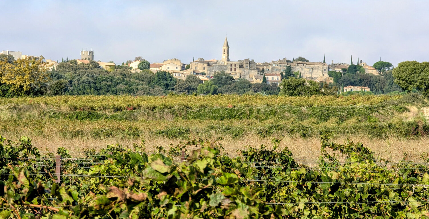 3753m2 de vigne... — photo 1