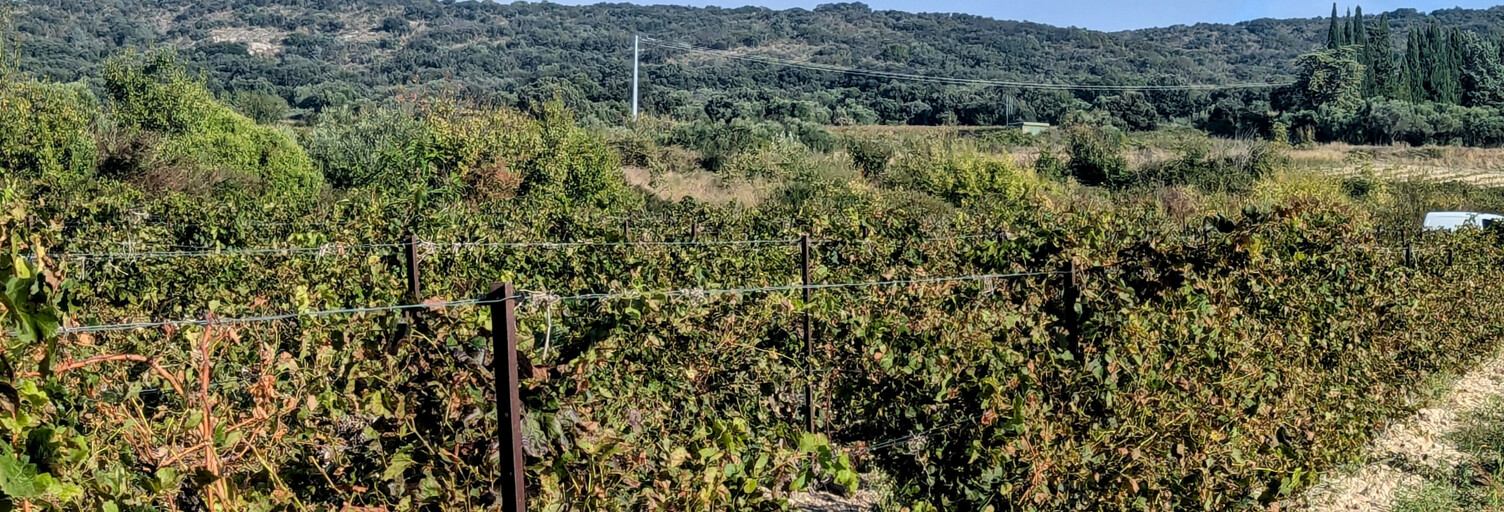 Terrain  3753 m² à vendre à Castillon-du-Gard (30210)