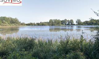 Photo N° 6
