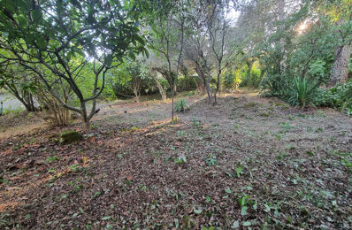 vente terrain 175 000 € à proximité de Saturargues (34400)