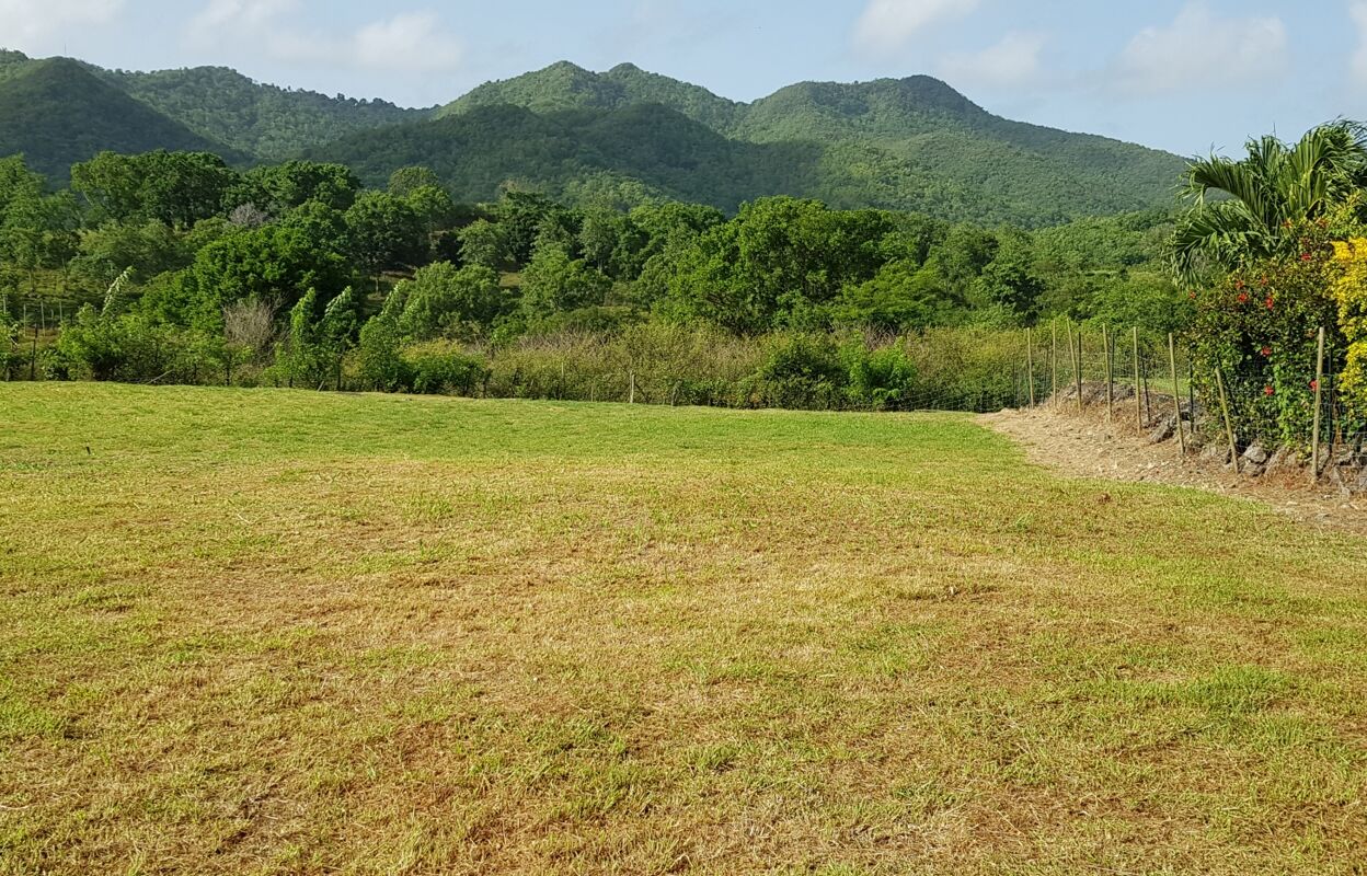 terrain  pièces 907 m2 à vendre à Les Trois-Îlets (97229)