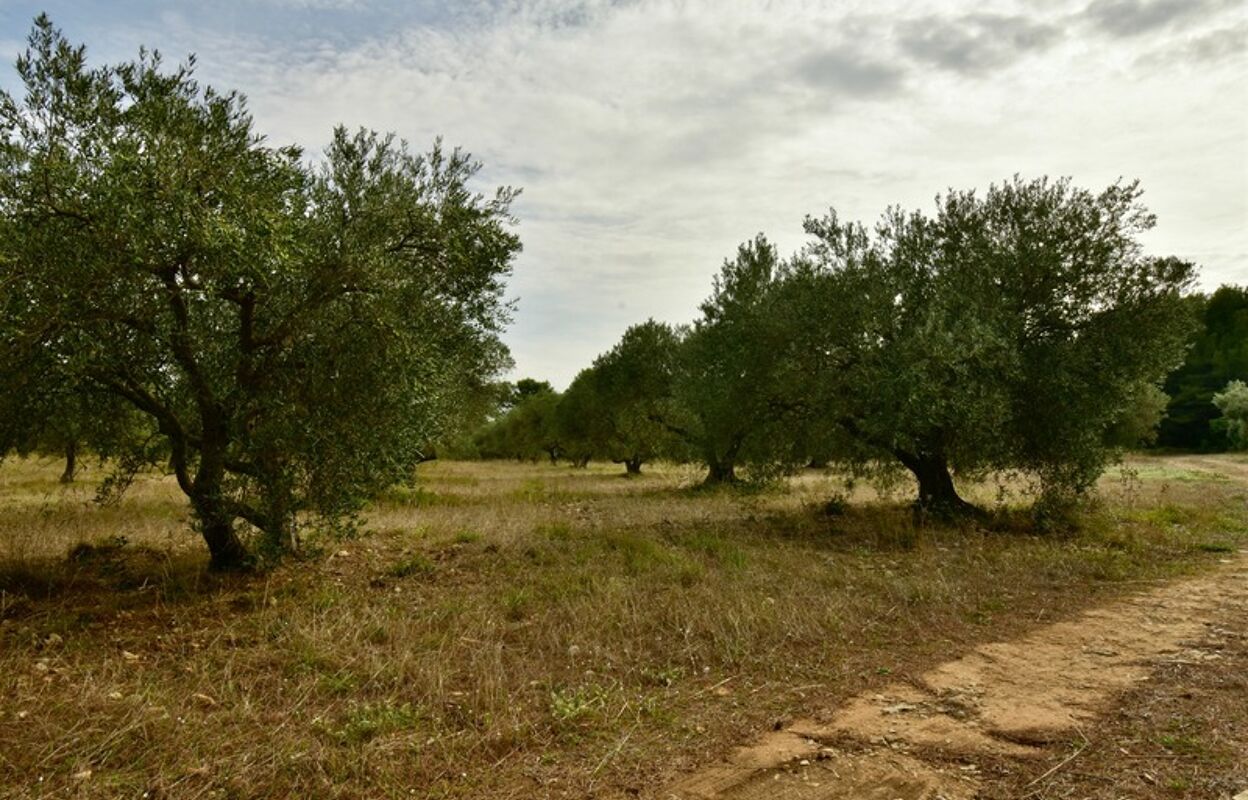 terrain  pièces 6698 m2 à vendre à Fontvieille (13990)