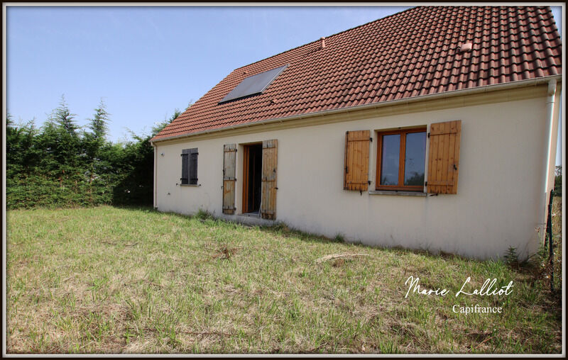 Villa / Maison 5 pièces  à vendre Pithiviers 45300