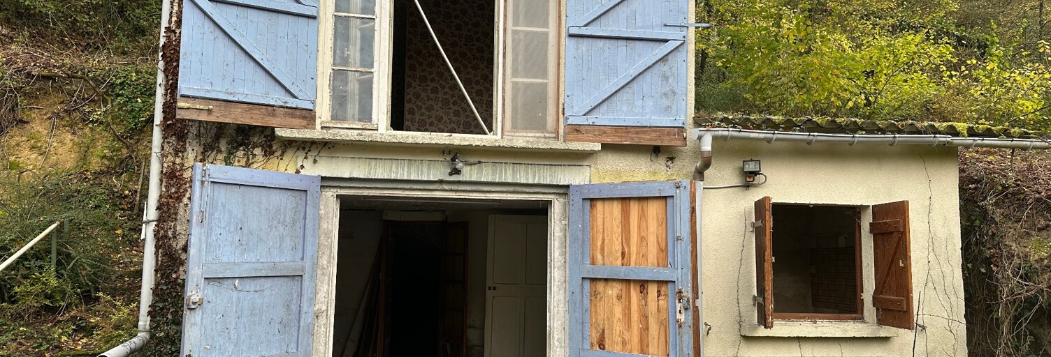 Maison 3 Pièces 45 m² à vendre à Rigny-Ussé (37420)