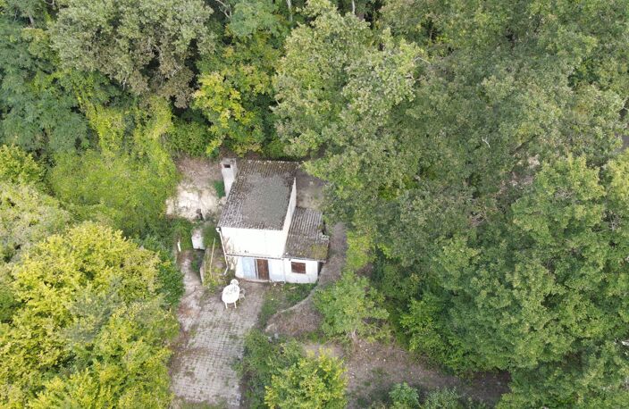 Vente maison 3 pièces 45 m² Rigny-Ussé (37420) — photo 5