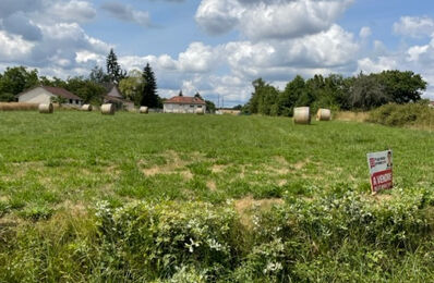 vente terrain 22 000 € à proximité de Saint-Loup (58200)