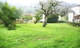Photo N° 4