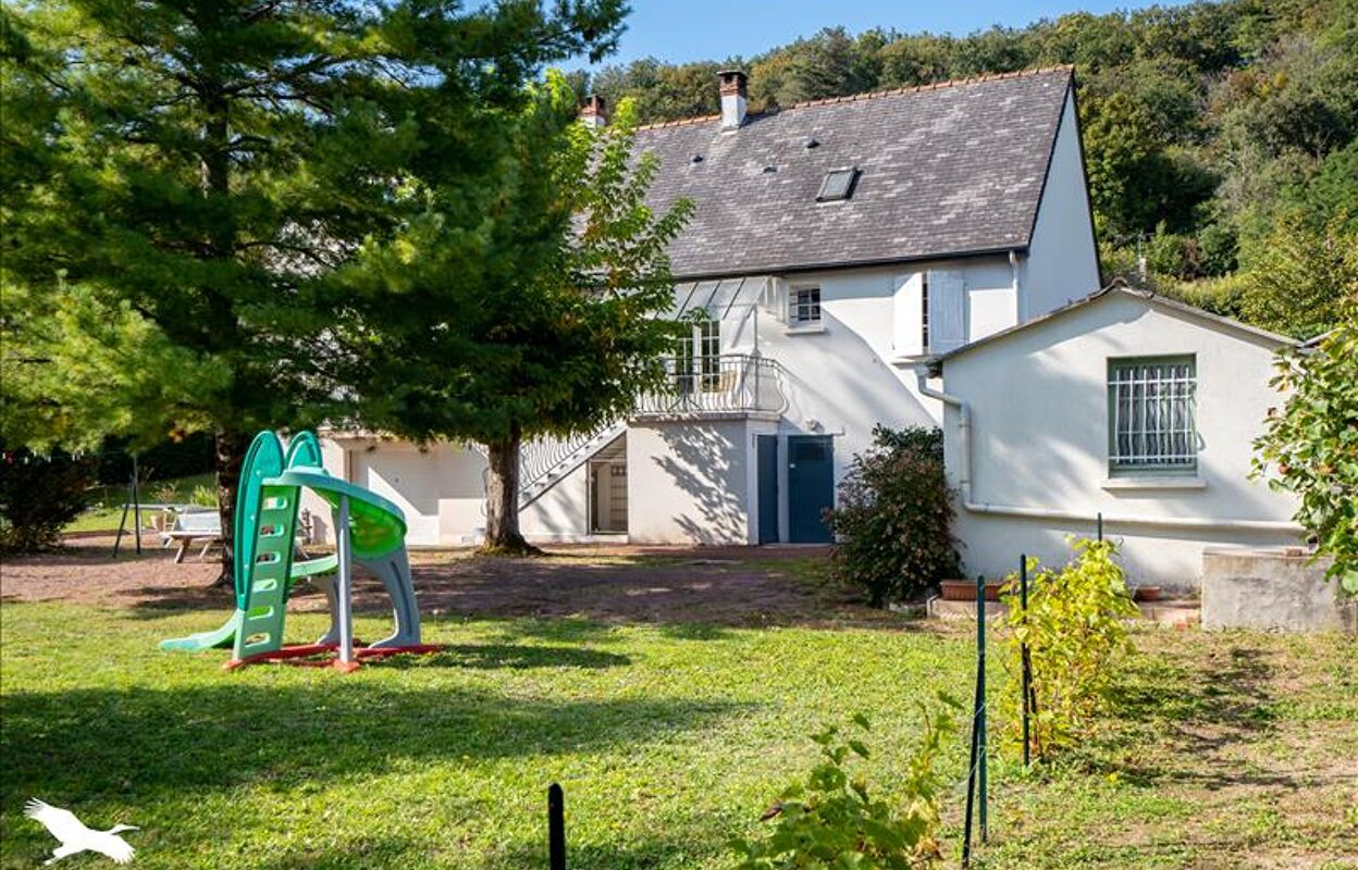 maison 7 pièces 165 m2 à vendre à Coteaux-sur-Loire (37130)