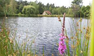 Maison 4 Pièces 161 m² à vendre à Rougeou (41230)