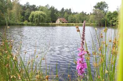 Maison 4 pièces 330150 €