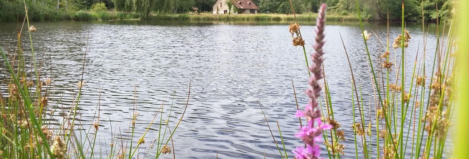 Maison 4 Pièces 161 m² à vendre à Rougeou (41230)