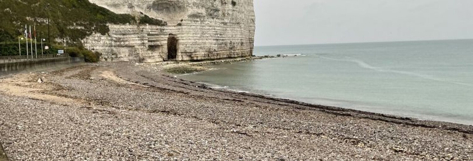 Commerce  180 m² à vendre à Yport (76111)