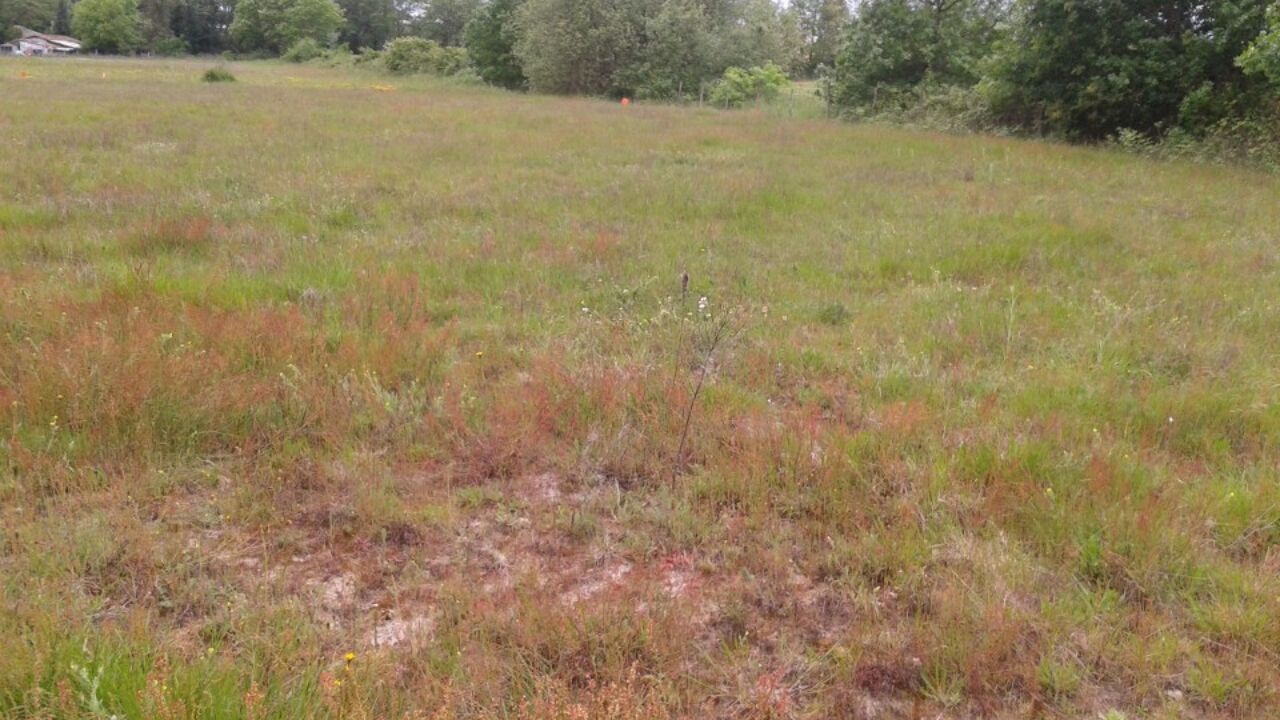 terrain  pièces 1080 m2 à vendre à Cubzac-les-Ponts (33240)