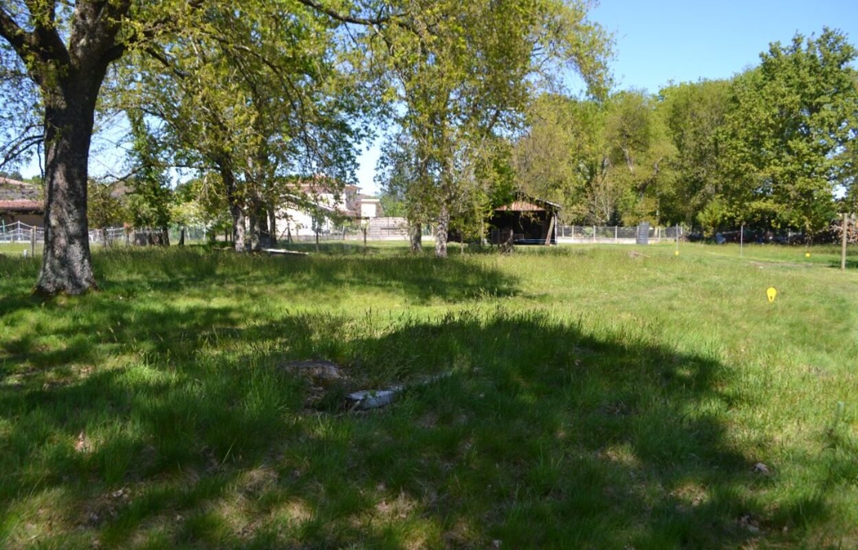 terrain  pièces 600 m2 à vendre à Le Teich (33470)