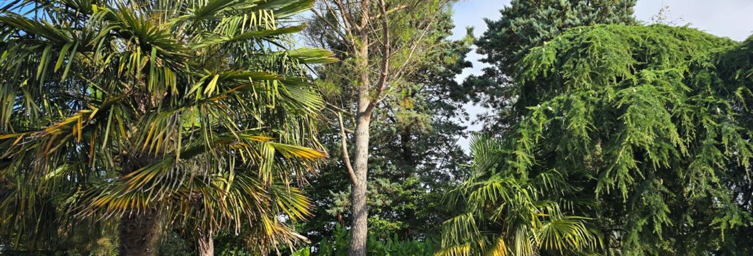 Maison 7 Pièces 188 m² à vendre à Parnay (18130)