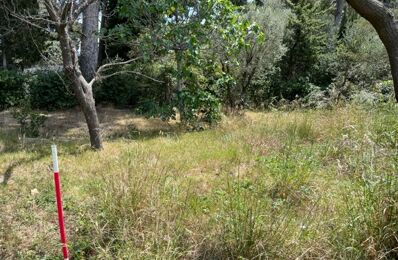 construire terrain 110 000 € à proximité de Pierrefeu-du-Var (83390)