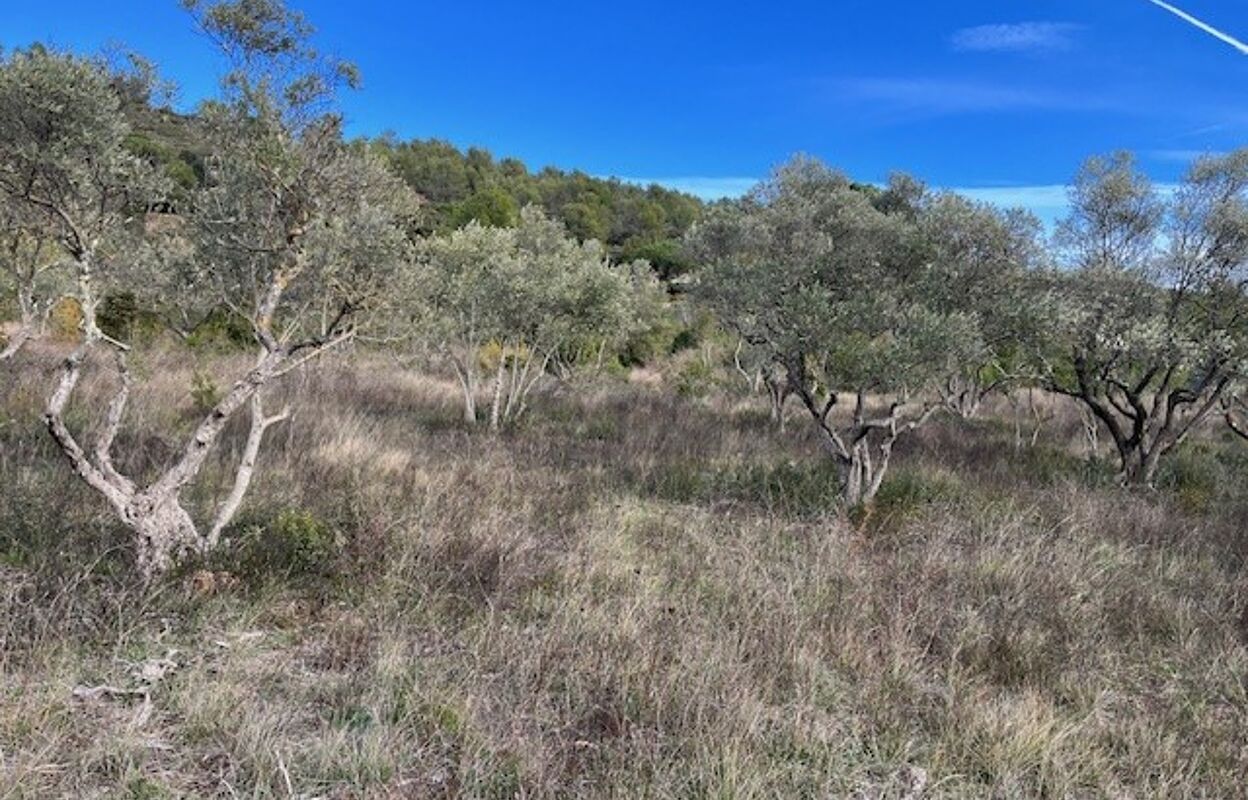 terrain 1800 m2 à construire à Camps-la-Source (83170)