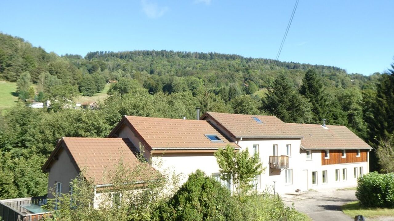 maison 13 pièces 340 m2 à vendre à Fresse-sur-Moselle (88160)