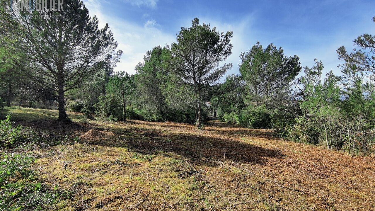 terrain  pièces 2760 m2 à vendre à Fontiès-d'Aude (11800)