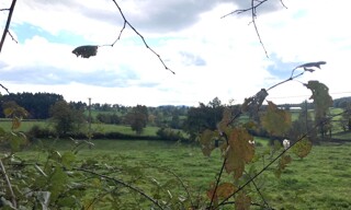 Photo N° 3