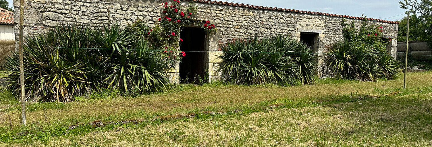 Maison 7 Pièces 258 m² à vendre à Chambon (17290)