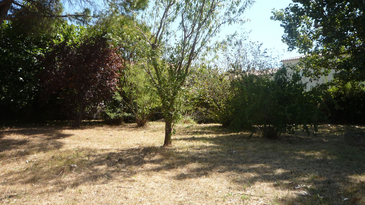 terrain  pièces 490 m2 à vendre à Pignan (34570)