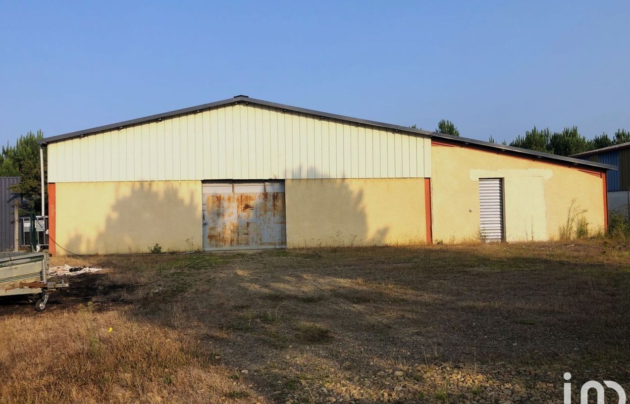 commerce  pièces 370 m2 à vendre à Saint-Avit (40090)