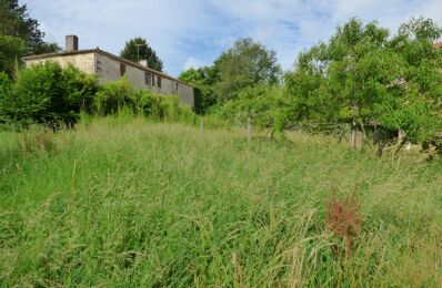 vente terrain 13 000 € à proximité de La Meilleraie-Tillay (85700)