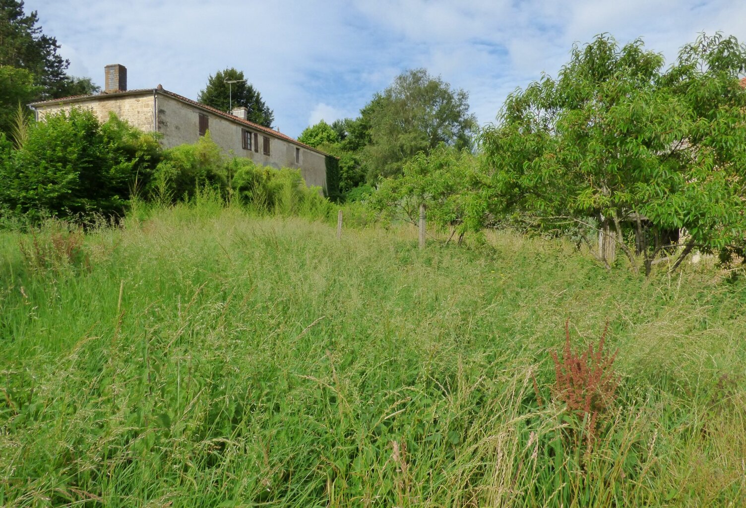 Terrain à vendre La Jaudonnière — photo 1