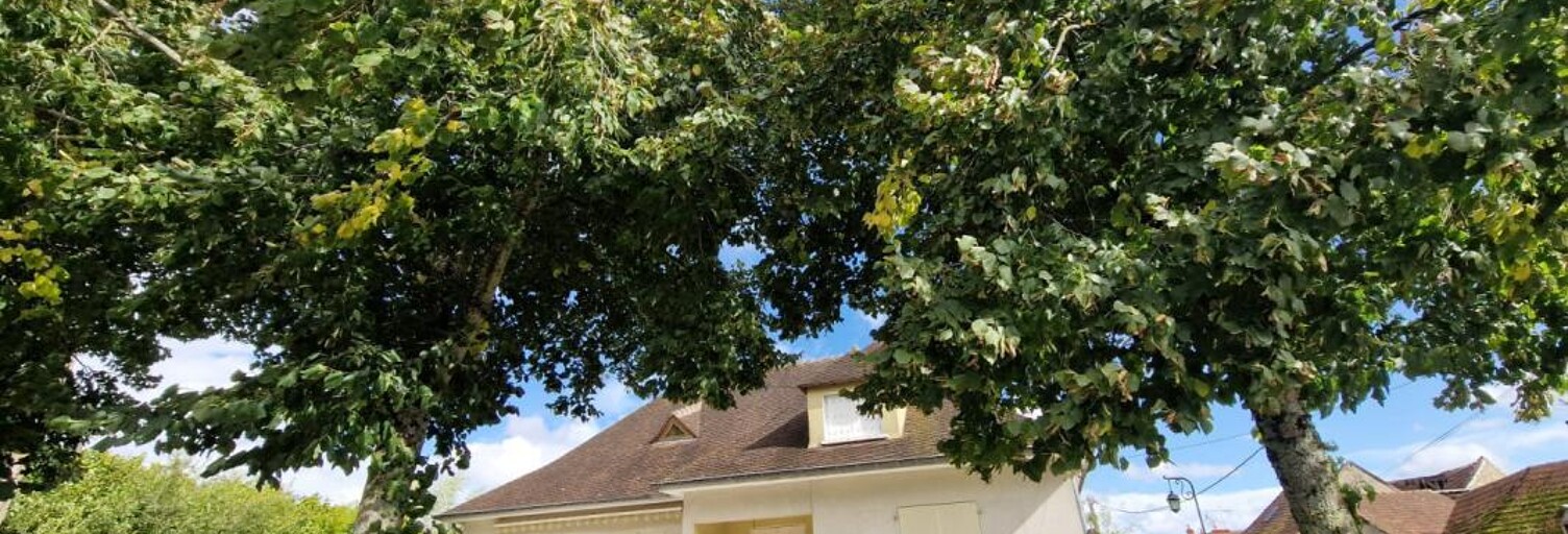 Maison 10 Pièces 242 m² à vendre à Dun-sur-Auron (18130)