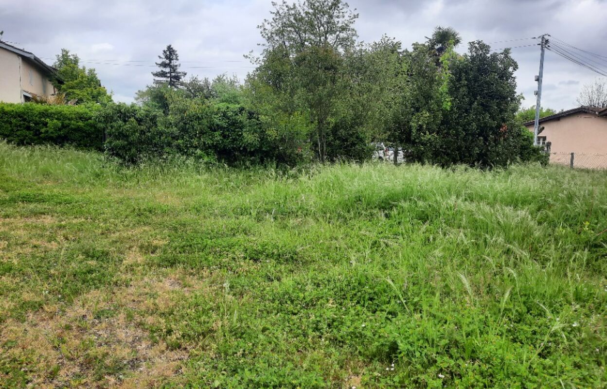 terrain  pièces 620 m2 à vendre à Lanton (33138)