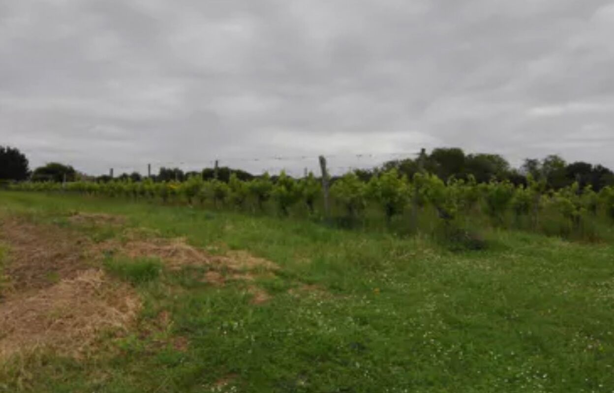 terrain  pièces 500 m2 à vendre à Targon (33760)