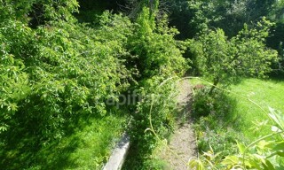 Photo N° 4